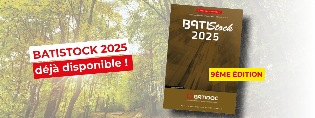 BANNIERE SW BATISTOCK